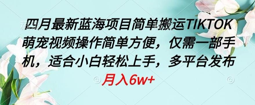 四月最新蓝海项目，简单搬运TIKTOK萌宠视频，操作简单方便，仅需一部手机【揭秘】-泡泡网赚
