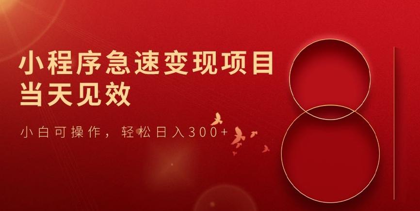 小程序急速变现项目，当天见效，小白可操作，轻松日入300+-泡泡网赚