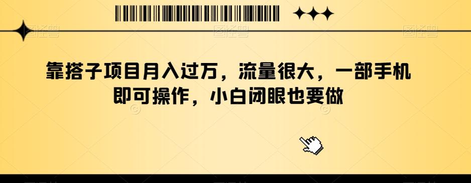 靠搭子项目月入过万，流量很大，一部手机即可操作，小白闭眼也要做-泡泡网赚