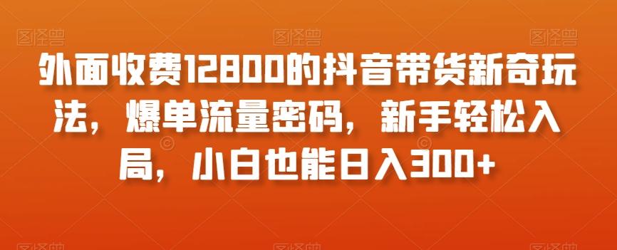 外面收费12800的抖音带货新奇玩法，爆单流量密码，新手轻松入局，小白也能日入300+【揭秘】-泡泡网赚