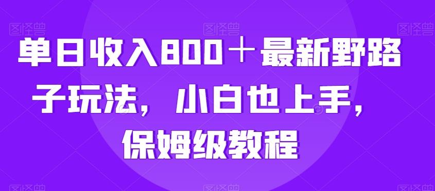 单日收入800＋最新野路子玩法，小白也上手，保姆级教程-泡泡网赚