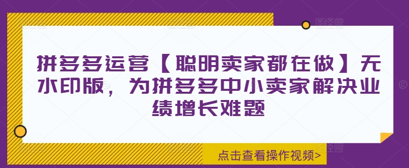 拼多多运营【聪明卖家都在做】无水印版，为拼多多中小卖家解决业绩增长难题-泡泡网赚