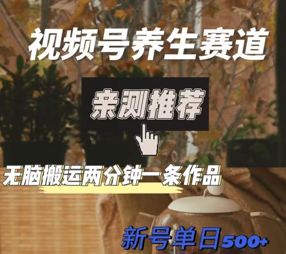 视频号养生赛道暴力掘金，无脑搬运，两分钟一条作品-新日单入500+-泡泡网赚