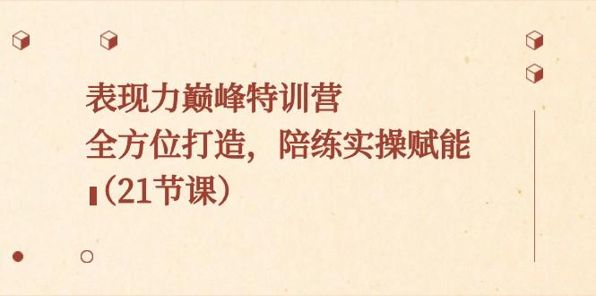 表现力巅峰特训营，全方位打造，陪练实操赋能（21节课）-泡泡网赚