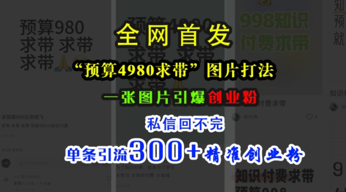 小红书“预算4980带我飞”图片打法，一张图片引爆创业粉，私信回不完，单条引流300+精准创业粉-泡泡网赚
