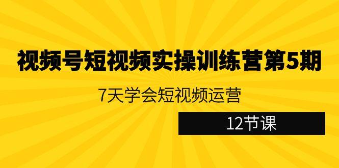 视频号短视频实操训练营第5期：7天学会短视频运营(12节课)-泡泡网赚
