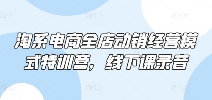 淘系电商全店动销经营模式特训营，线下课录音-泡泡网赚