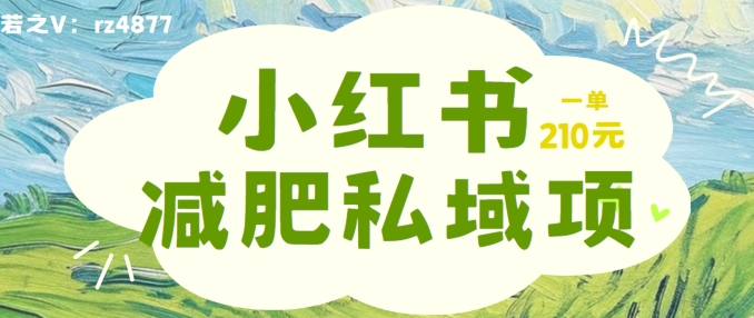 小红书减肥粉，私域变现项目，一单就达210元，小白也能轻松上手【揭秘】-泡泡网赚