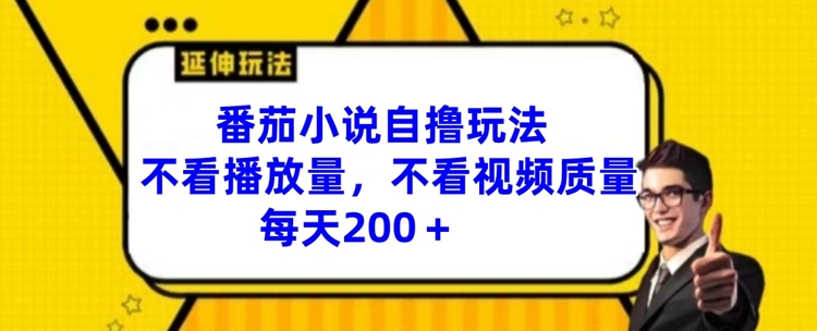 番茄小说自撸玩法，不看播放量，不看视频质量，每天200+【揭秘】-泡泡网赚