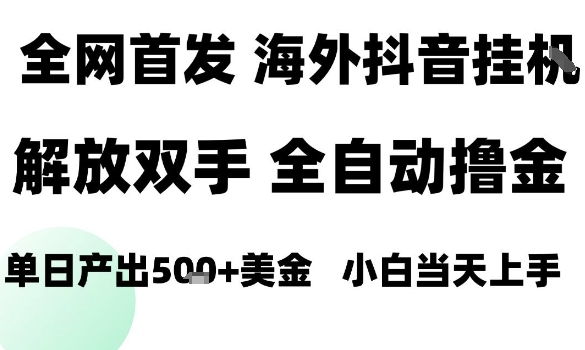 海外抖音无人直播，单日产出1.5k+，长期稳定，新手可玩，无脑操作【揭秘】-泡泡网赚