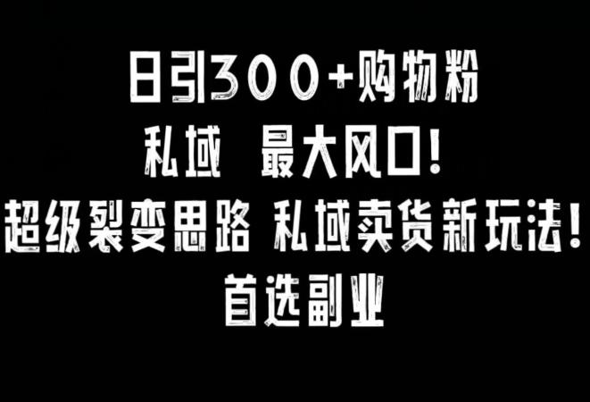 日引300+购物粉，超级裂变思路，私域卖货新玩法，小红书首选副业【揭秘】-泡泡网赚