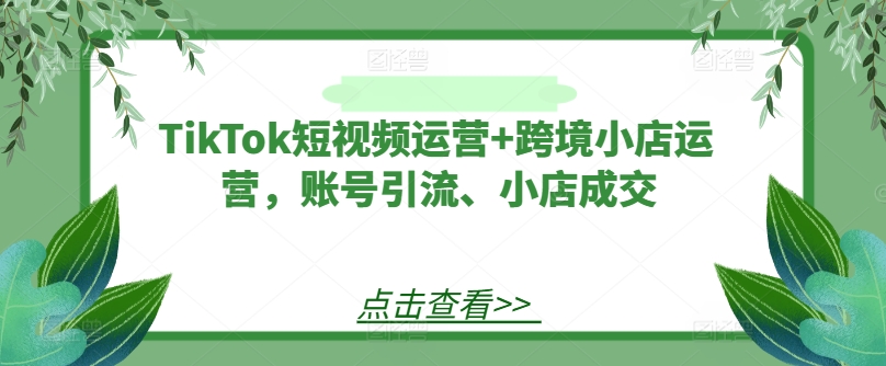 TikTok短视频运营+跨境小店运营，账号引流、小店成交-泡泡网赚