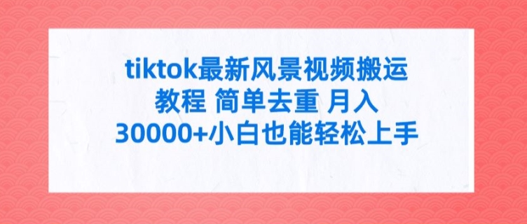 tiktok最新风景视频搬运教程 简单去重 月入3W+小白也能轻松上手【揭秘】-泡泡网赚