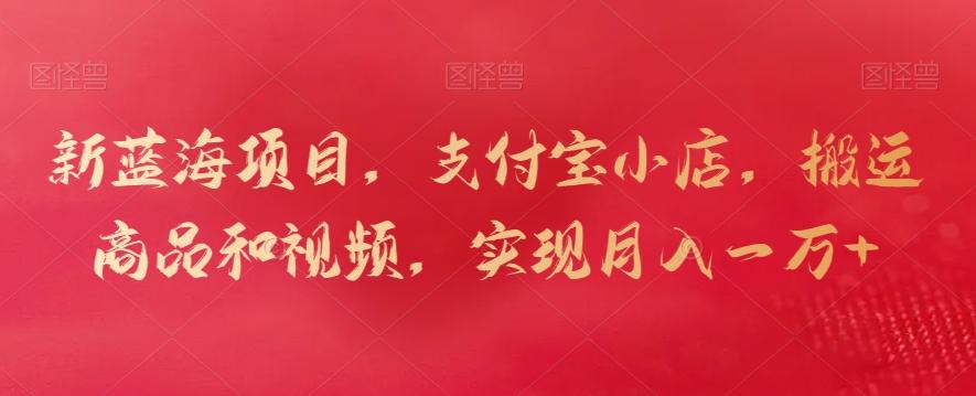 新蓝海项目，支付宝小店，搬运商品和视频，实现月入一万+【揭秘】-泡泡网赚