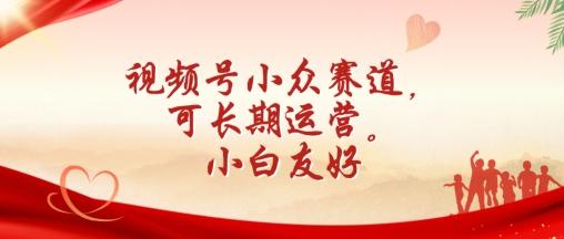 视频号小众赛道，可长期运营，小白友好【揭秘】-泡泡网赚