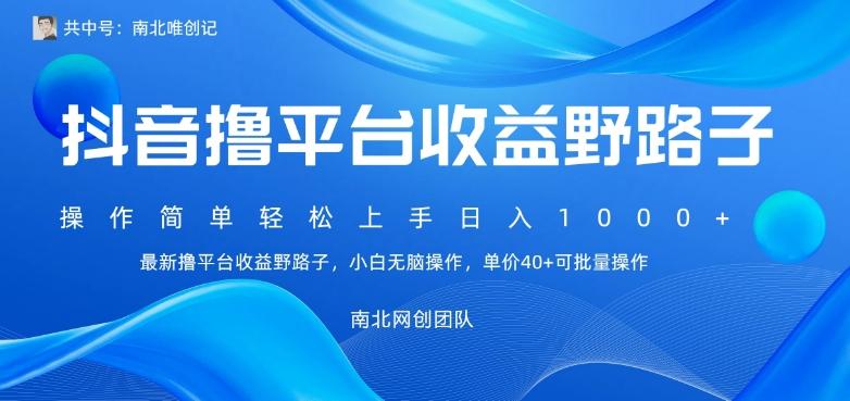 最新撸抖音平台收益野路子，操作简单，单价高，小白可无脑操作可日入1000+-泡泡网赚