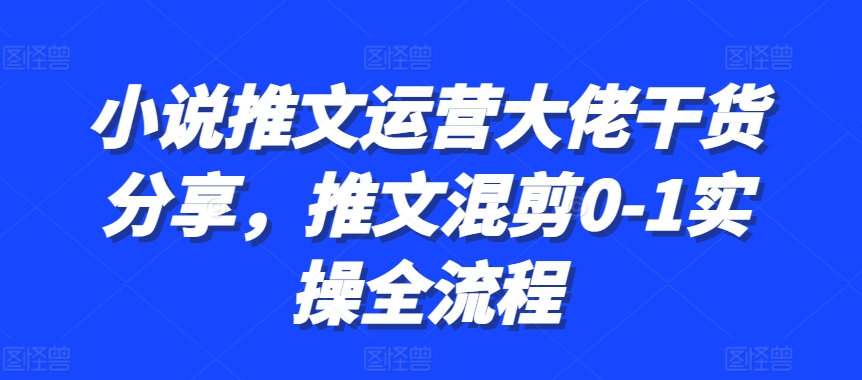 小说推文运营大佬干货分享，推文混剪0-1实操全流程-泡泡网赚