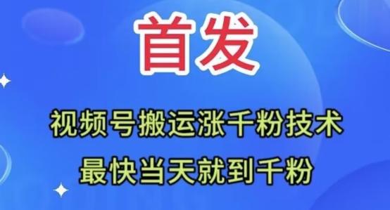 全网首发：视频号无脑搬运涨千粉技术，最快当天到千粉【揭秘】-泡泡网赚