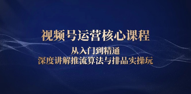 视频号运营核心课程，从入门到精通，深度讲解推流算法与排品实操玩-泡泡网赚