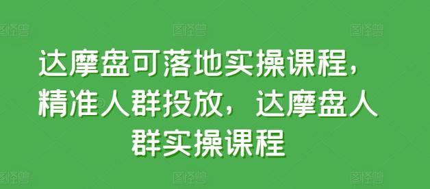 达摩盘可落地实操课程，精准人群投放，达摩盘人群实操课程-泡泡网赚