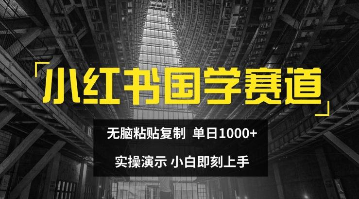 小红书国学赛道，无脑粘贴复制，单日1K，实操演示，小白即刻上手【揭秘】-泡泡网赚