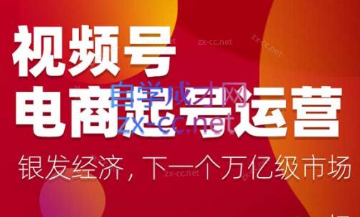 陈大黑牛·视频号电商起号运营课(更新到24年5月)-泡泡网赚