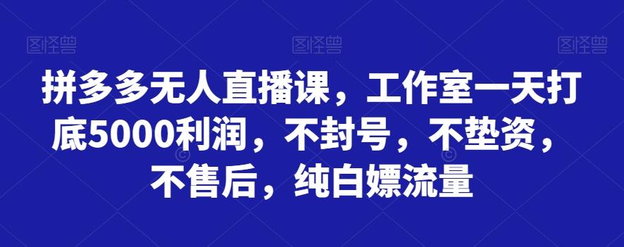 拼多多无人直播课，工作室一天打底5000利润，不封号，不垫资，不售后，纯白嫖流量-泡泡网赚