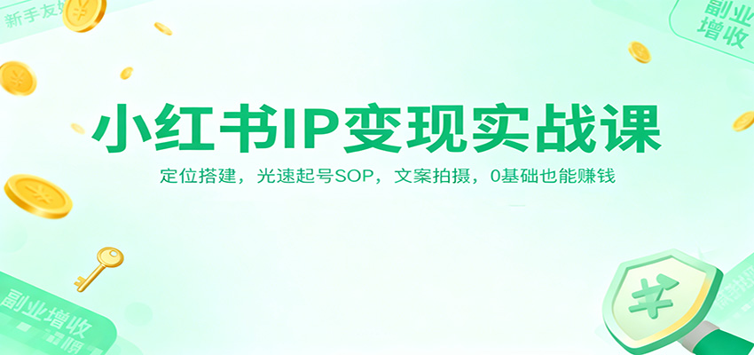 小红书IP变现实战课：定位搭建，光速起号SOP，文案拍摄，0基础也能赚钱-泡泡网赚