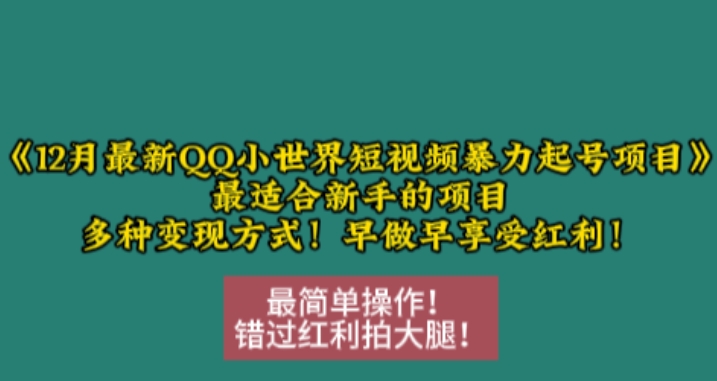 12月最新QQ小世界短视频暴力起号项目，最适合新手的项目，多种变现方式-泡泡网赚