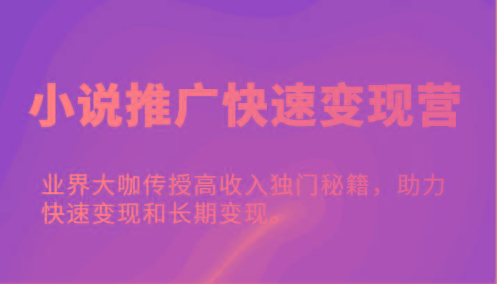 小说推广快速变现营-业界大咖传授高收入独门秘籍，助力快速变现和长期变现。-泡泡网赚
