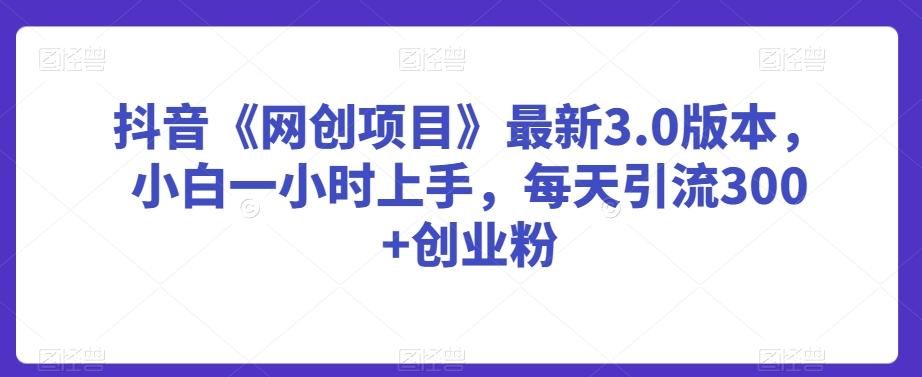抖音《网创项目》最新3.0版本，小白一小时上手，每天引流300+创业粉【揭秘】-泡泡网赚
