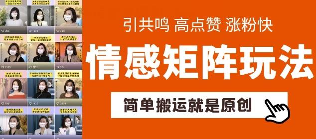 简单搬运，情感矩阵玩法，涨粉速度快，可带货，可起号【揭秘】-泡泡网赚