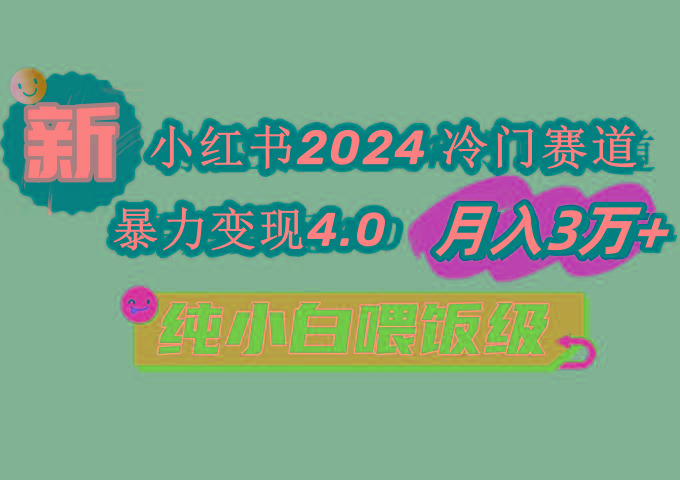 小红书2024冷门赛道 月入3万+ 暴力变现4.0 纯小白喂饭级-泡泡网赚