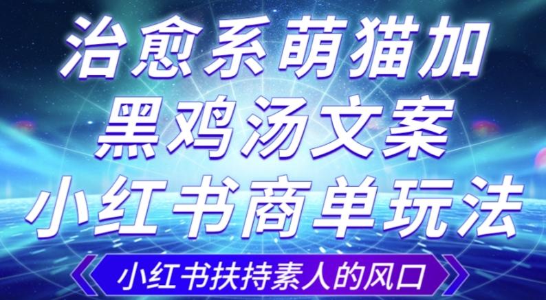 治愈系萌猫加+黑鸡汤文案，小红书商单玩法，3~10天涨到1000粉，一单200左右-泡泡网赚