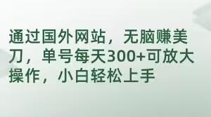 通过国外网站，无脑赚美刀，单号每天300+可放大操作，小白轻松上手【揭秘】-泡泡网赚