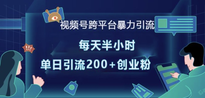 视频号跨平台暴力引流，每天半小时，单日引流200+精准创业粉-泡泡网赚