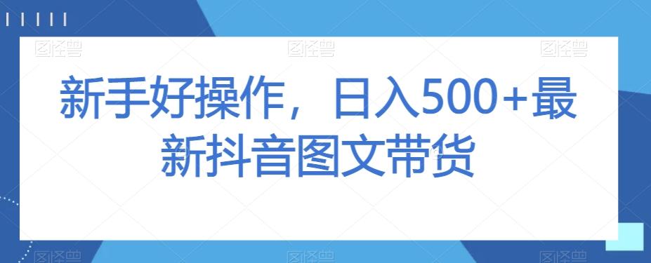 新手好操作，日入500+最新抖音图文带货【揭秘】-泡泡网赚