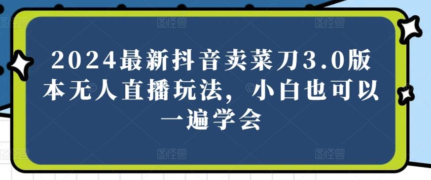 2024最新抖音卖菜刀3.0版本无人直播玩法，小白也可以一遍学会【揭秘】-泡泡网赚