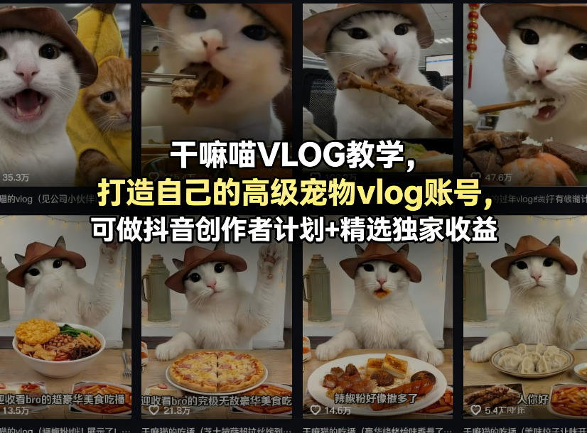 干嘛喵VLOG教学，打造自己的高级宠物vlog账号，可做抖音创作者计划+精选独家收益-泡泡网赚