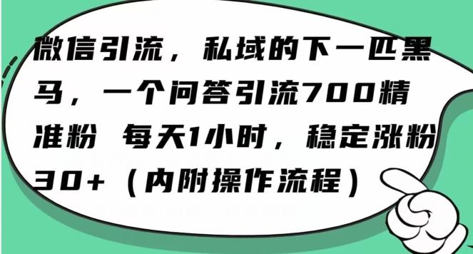 怎么搞精准创业粉？微信新赛道，每天一小时，利用Ai一个问答日引100精准粉-泡泡网赚