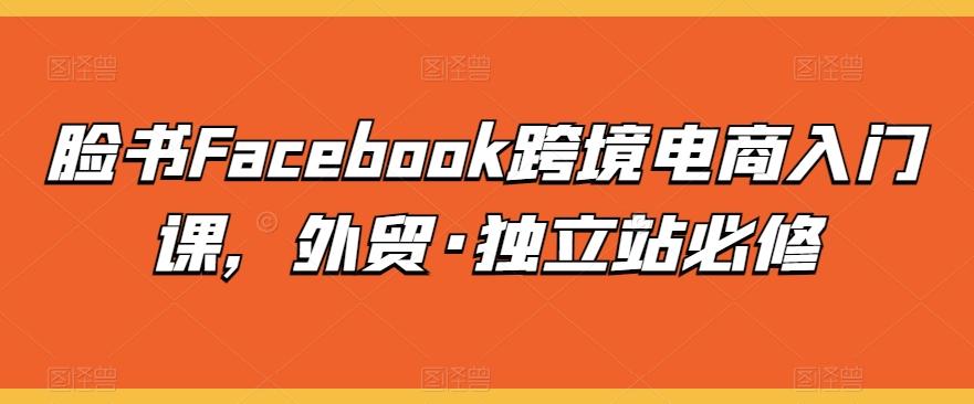 脸书Facebook跨境电商入门课，外贸·独立站必修-泡泡网赚