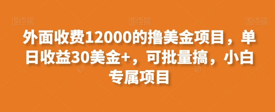 外面收费12000的撸美金项目，单日收益30美金+，可批量搞，小白专属项目-泡泡网赚