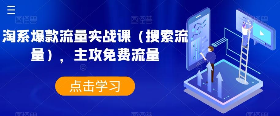 淘系爆款流量实战课（搜索流量），主攻免费流量-泡泡网赚