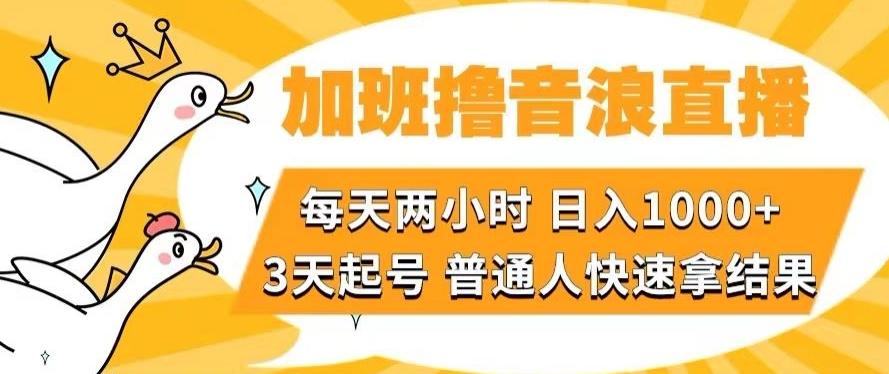 加班撸音浪直播，每天两小时，日入1000+，直播话术才3句，3天起号，普通人快速拿结果【揭秘】-泡泡网赚