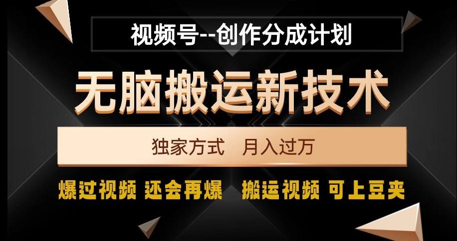 视频号无脑搬运新技术，破原创壕流量，独家方式，爆过视频，还会再爆【揭秘】-泡泡网赚