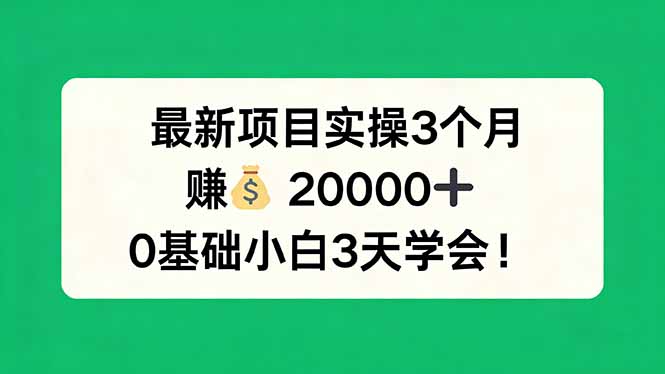 最新项目实操3个月，赚钱20000+，0基础小白3天学会！-泡泡网赚