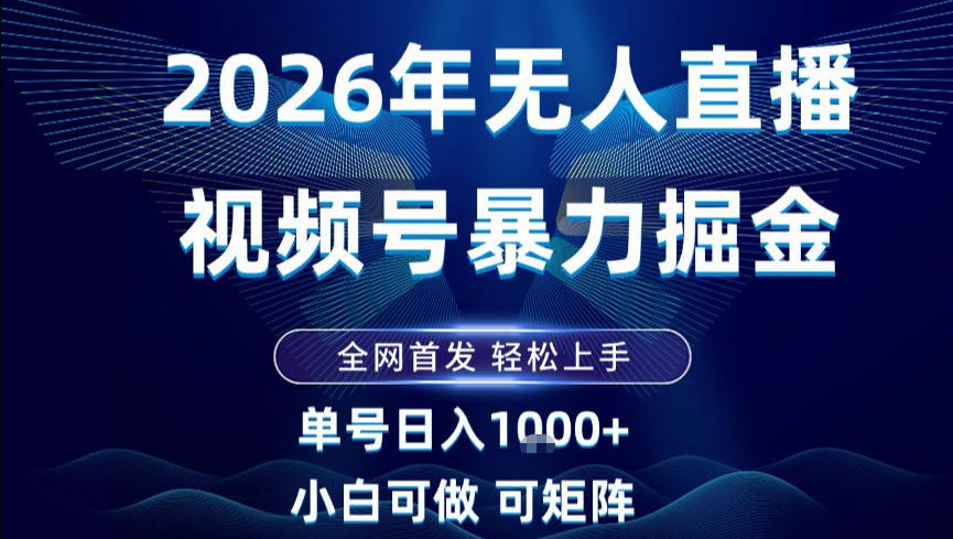 2026最新视频号无人直播掘金，全网首发，小白可以玩，长期稳定日入1k+【揭秘】-泡泡网赚