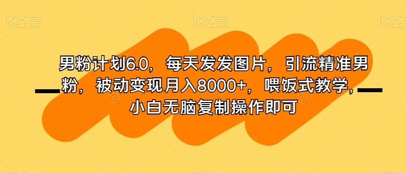 男粉计划6.0，每天发发图片，引流精准男粉，被动变现月入8000+，喂饭式教学，小白无脑复制操作即可-泡泡网赚