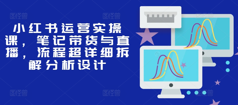 小红书运营实操课，笔记带货与直播，流程超详细拆解分析设计-泡泡网赚