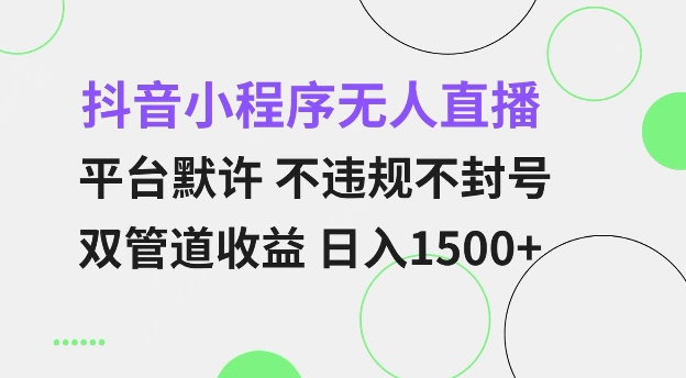 抖音小程序无人直播 平台默许 不违规不封号 双管道收益 日入多张 小白也能轻松操作【仅揭秘】-泡泡网赚